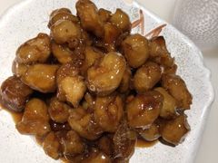 -肥猫(义乌万达店)