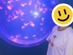 -多彩贵州城极地海洋世界