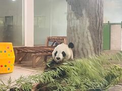 -安吉竹博园