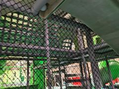 -C7城市运动空间·蹦床·健身·团建