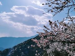 -北京凤凰岭