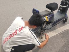 -台铃电动车(旧宫东西大街店)