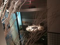 -为什么牛潮汕牛肉火锅(中信广场店)