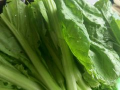 -汉源贡嘎湖生态黄牛肉(贡嘎湖商务酒店)