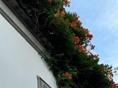 -山塘街