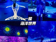 -顺德南宏海立方海洋公园