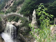 -陕西省红河谷森林公园