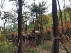 -川匠·睡眠采耳·SPA(九眼桥店)