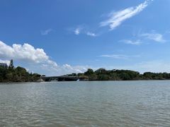 -华侨城湿地公园