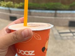 -圣淘沙名胜世界