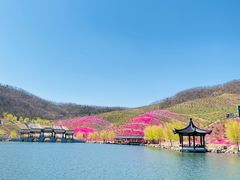 -威海华夏城景区