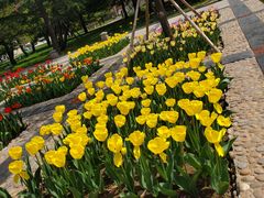 -石家庄市植物园