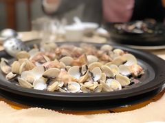 白贝-渔乐里(智荟城店)