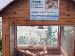 -上海大自然野生昆虫馆(东方明珠·爬宠昆虫探索中心)