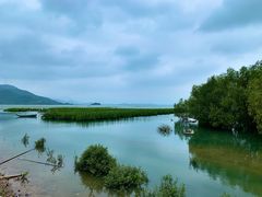 -盐洲岛