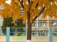 -四川大学(望江校区)