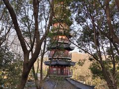 -上海佘山国家森林公园西佘山园