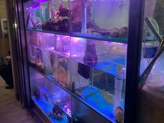 -一哥美食(总店)