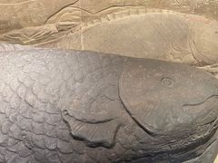 -白鹤梁水下博物馆