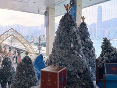 -海港城