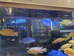 -黄鱼炙夜·烧烤·小龙虾(星荟广场店)