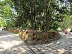 -共青国家森林公园-售票处