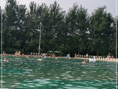 -柳浪游泳场