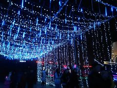 -长春公园(普阳街道)