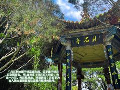 -昆明动物园