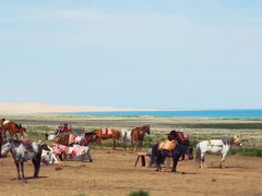 -青海湖国家重点风景名胜区