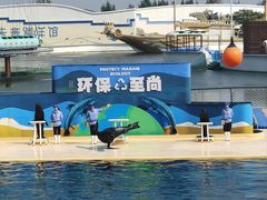 -秦皇岛乐岛海洋王国