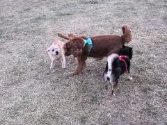 -小意思咖啡店(草桥店)