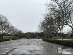 -野生动物园-停车场