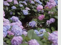-上海辰山植物园