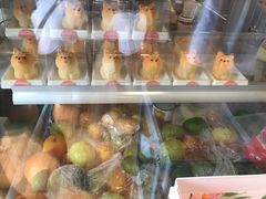 -柴犬高等学院·狗咖·柴犬售卖·宠物训练