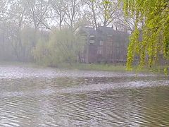 -溱湖国家湿地公园