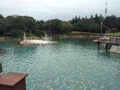 -上海月湖雕塑公园