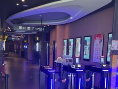 -卢米埃影城(住总万科杜比全景声激光店)