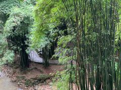 -凤栖山
