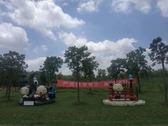 -上海海湾国家森林公园