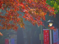 -陕西师范大学(雁塔校区)