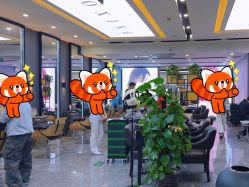 -藤野造型烫染·漂发