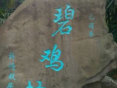 android_upload_pic-望江楼公园