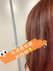 -蚂蚁造型俱乐部