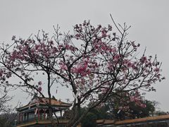-宝墨园景区
