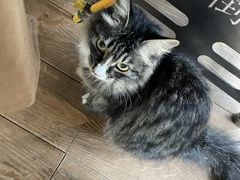 -巴倒烫陆派火锅山庄(南山总店)