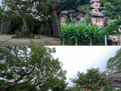 -朴园