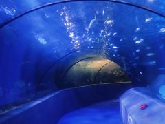 -太平洋海底世界