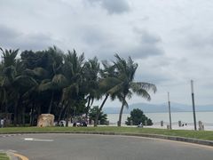 -深圳湾公园(南山区)