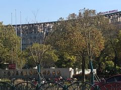 -上海中医药大学附属曙光医院(东部)